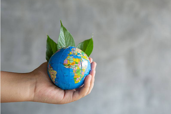 淘宝店铺注销了还能再注册吗