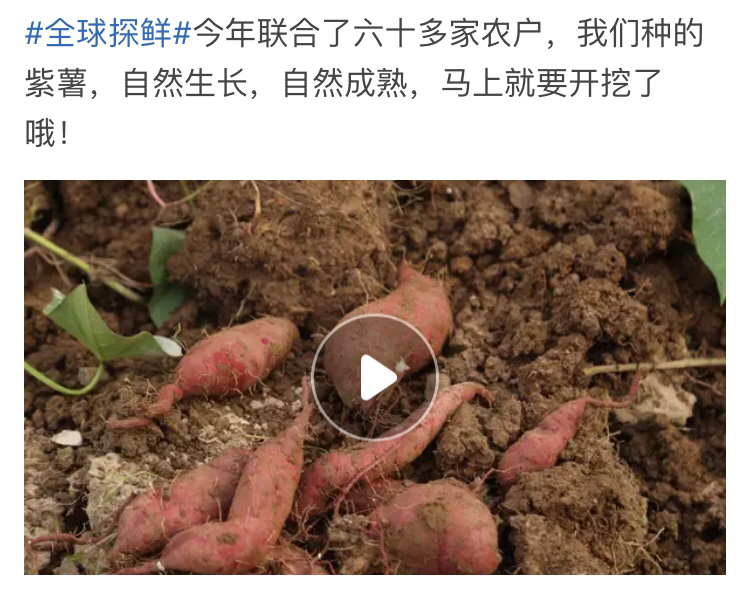 淘宝开店运营