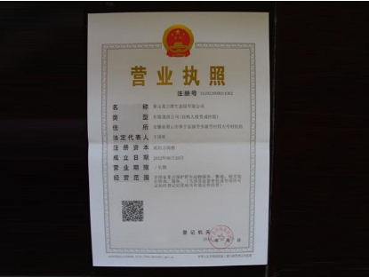 淘宝营业执照过期