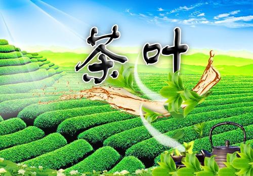 淘宝开店卖茶叶需要什么条件？条件多吗？